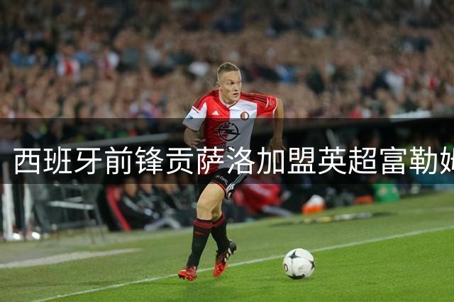 西班牙前锋贡萨洛加盟英超富勒姆